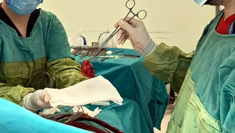 Kalp Kapağı Çürümüş Olan Hasta, 7 Saatlik Ameliyatla Hayata Tutundu