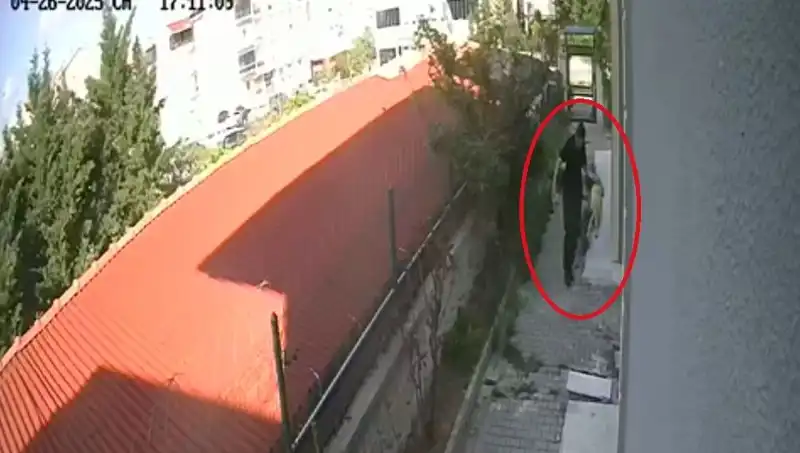 Veteriner Doktorun Korkunç Suçunun Ardındaki Gerçekler Ortaya Çıktı