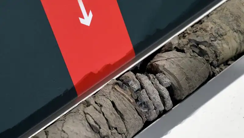 Müze Otoparkında Tarihe Işık Tutan Dinozor Fosili Bulundu