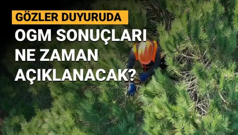 Orman Genel Müdürlüğü'nden Personel Alımı: 3 Bin 477 Kişi Şansla Bekliyor