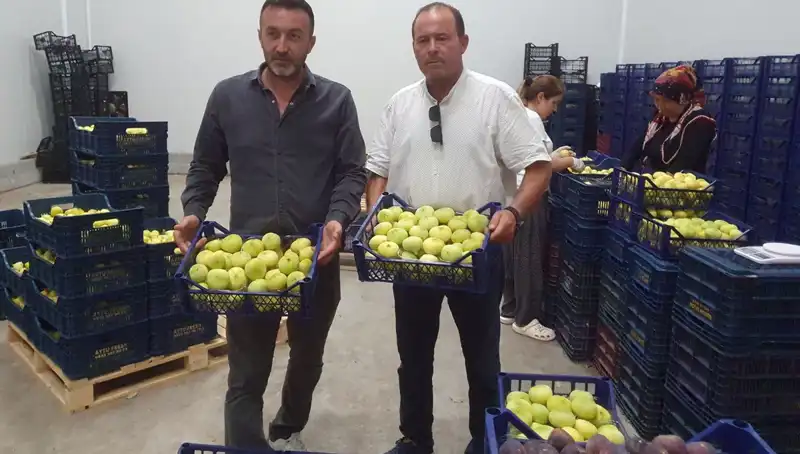 Mersinli Çiftçinin Yüzünü Güldüren Sera Ürünlerinin İhracı Artıyor
