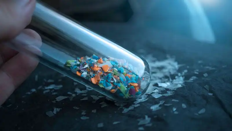 Mikroplastikler Beyinde Tehlike Saçıyor: İnsan Sağlığı Üzerindeki Etkileri Nedir?