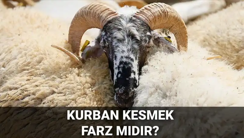 Kurban Kesimi: Farz mı, Şartları Neler? Diyanet'le Öğrenin!