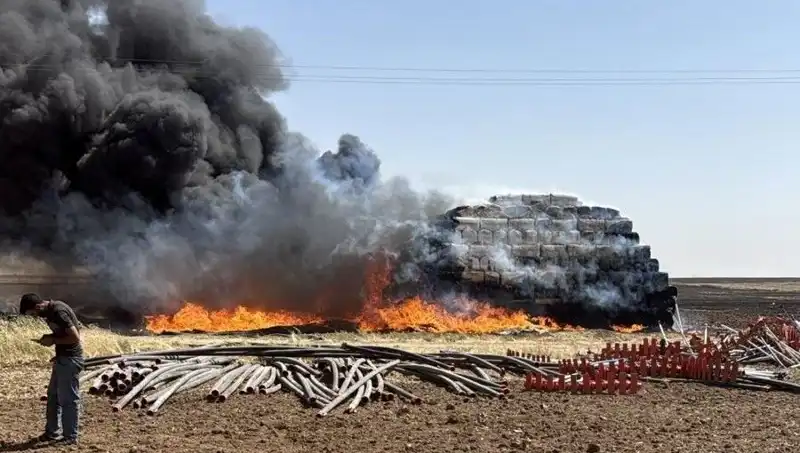 Mardin'de Anız Yangını: Tarım Alanlarını Tehdit Eden Felaket!