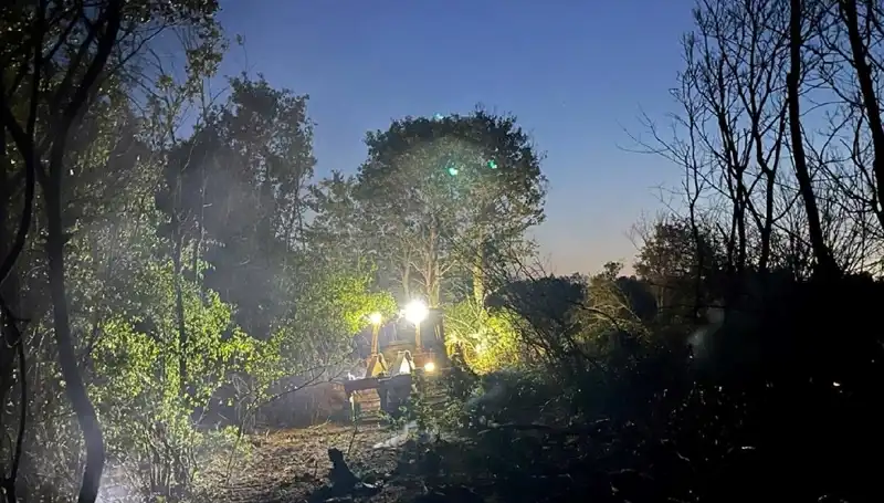 Edirne’deki Orman Yangını Kontrol Altına Alındı: Son Durum ve Detaylar