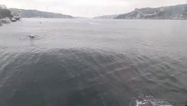 İstanbul Boğazı'nda Yükselen Dalgalar: Deniz Tutkunlarını Endişelendiriyor
