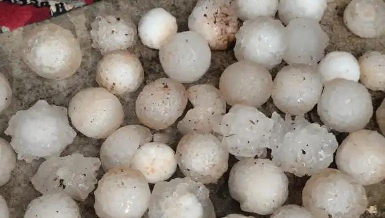 Şanlıurfa'da Şaşkınlığa Neden Olan Kar Topu Büyüklüğünde Dolu Yağışı