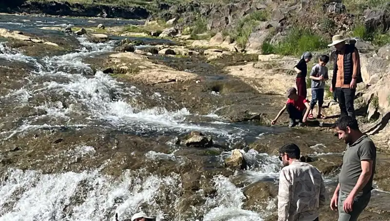 İnci Kefali Göçü: Doğanın Eşsiz Gösterisi Turistleri Ceşitli Beldeye Çekiyor