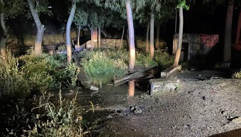 Manisa'da Parkta Şüpheli Ölüm: Soruşturma Derinleşiyor