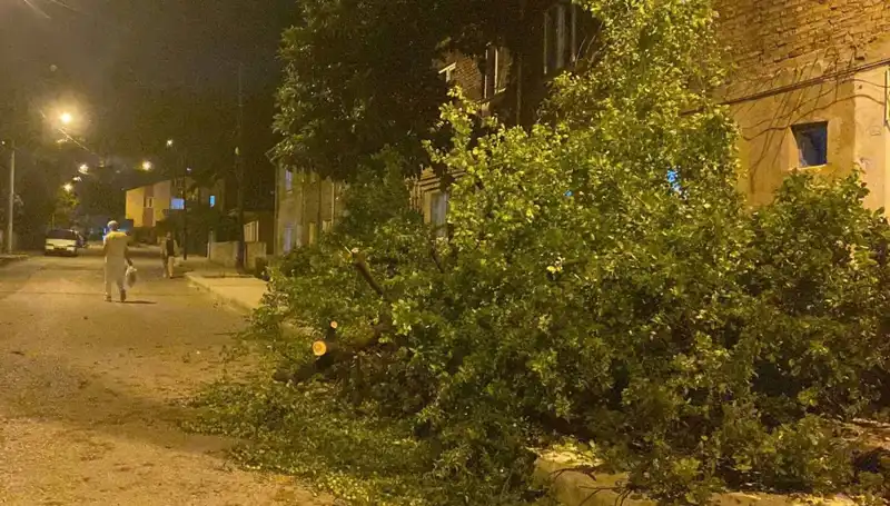 Karabük'te Fırtına Salgını: Zarar ve Yanıtlar