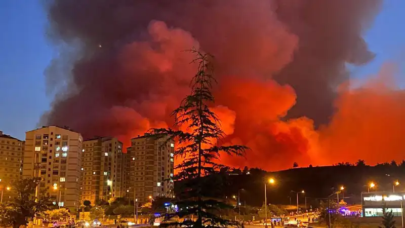Bursa'da Korkutan Yangınlar: Şehri Saran Alevler