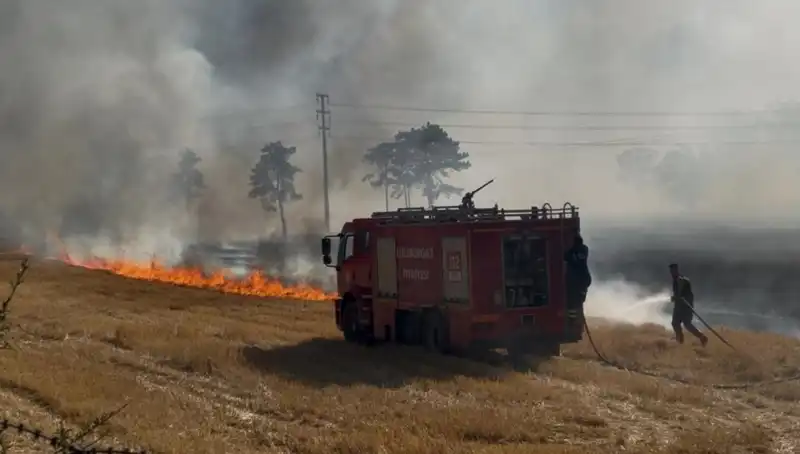 Kırklareli'nde Korkutan Anız Yangını: Bölgeyi Tehdit Eden Alevler