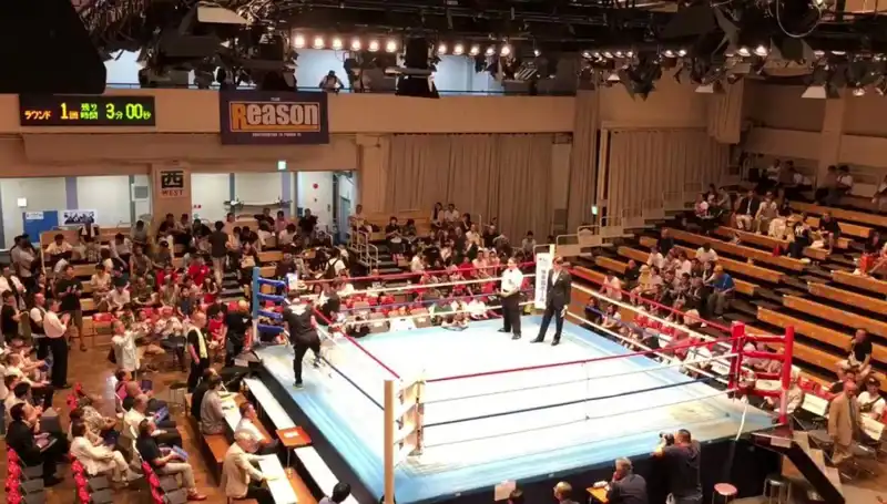 Japonya'da Şok Eden Oyuncular Arası Turnuva: Bir Günde İki Ölüm